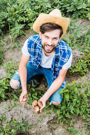 Photo d'un bénévole au travail au jardin